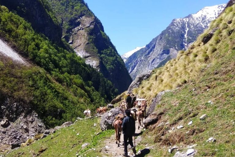 Milam Glacier Uttarakhand