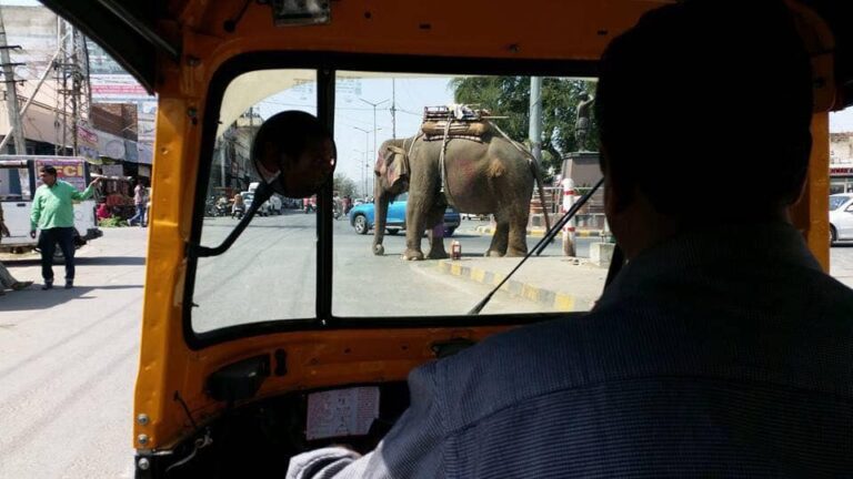 How to travel solo in India