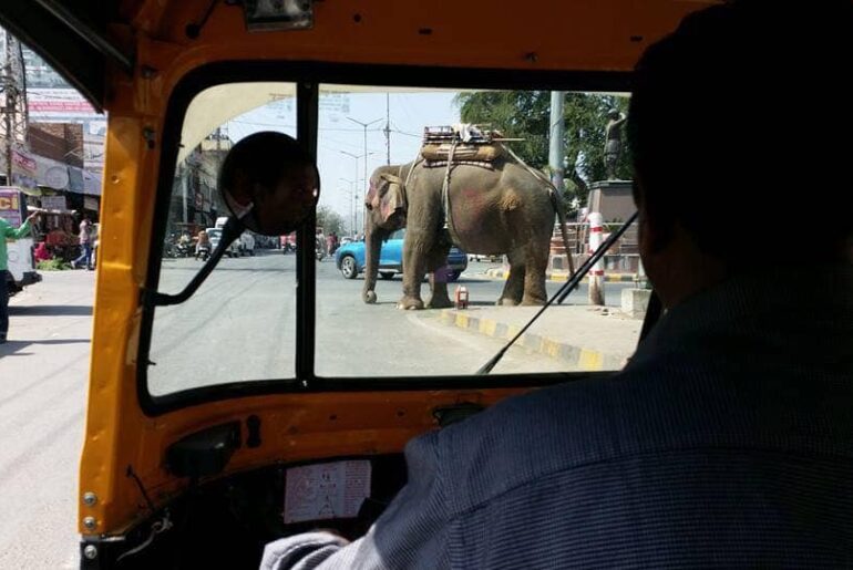 How to travel solo in India