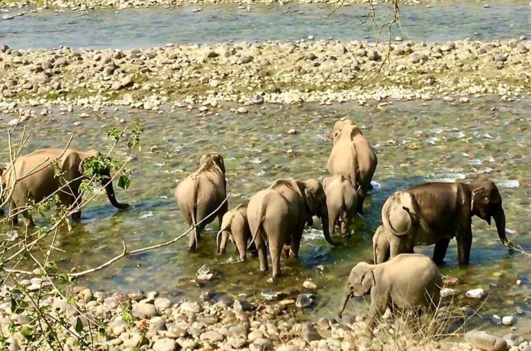 Haridwar to Jim Corbett