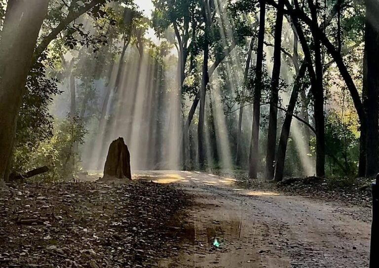 Rishikesh to Jim Corbett National Park