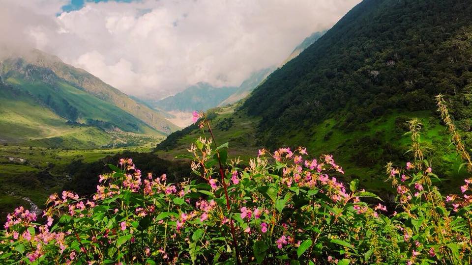 Valley of Flowers Uttarakhand National Park