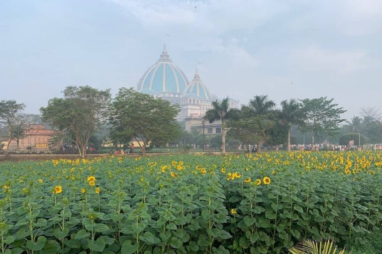 Things to Do in Mayapur