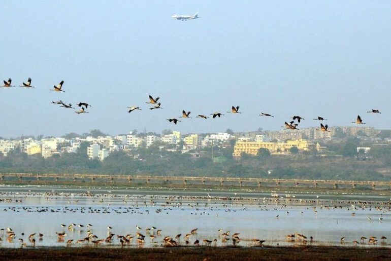 Bhoj Wetland Bhopal