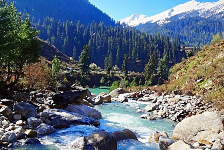 Khirganga National Park Himanchal Pradesh