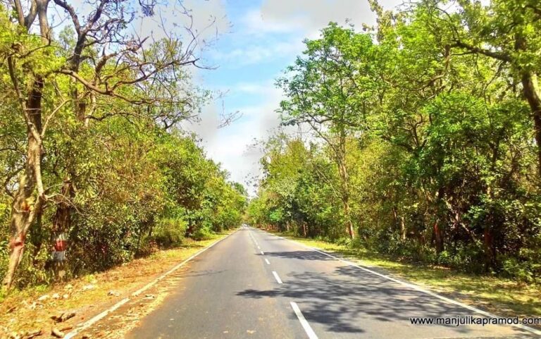 Haldwani to Nainital Distance