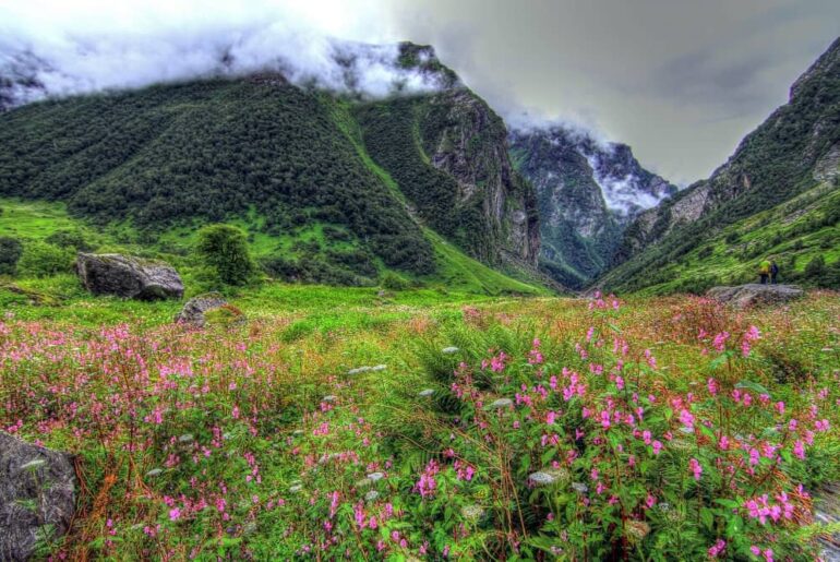 Valley of Flowers Trek Distance & Best Time to Visit