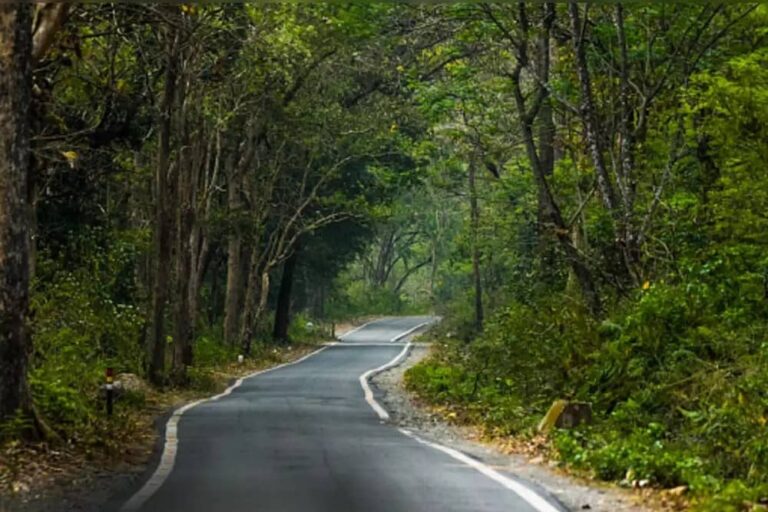 National Park to Nainita