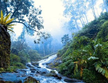 Monsoon Tourist Places in India