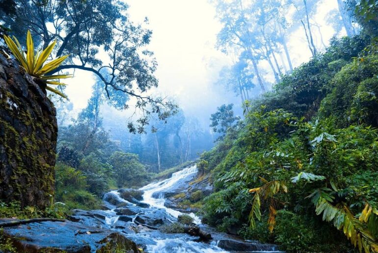 Monsoon Tourist Places in India