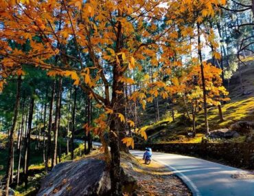 Chaukori Uttarakhand