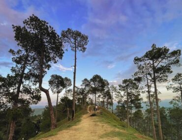 crank's ridge kasar devi