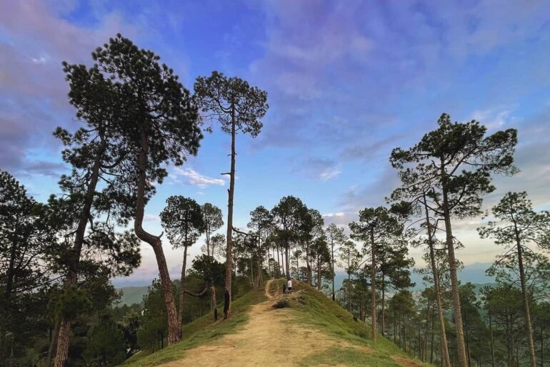 Crank's Ridge in Almora