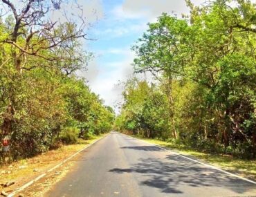Haldwani to Kainchi Dham Distance, Routes & How to reach