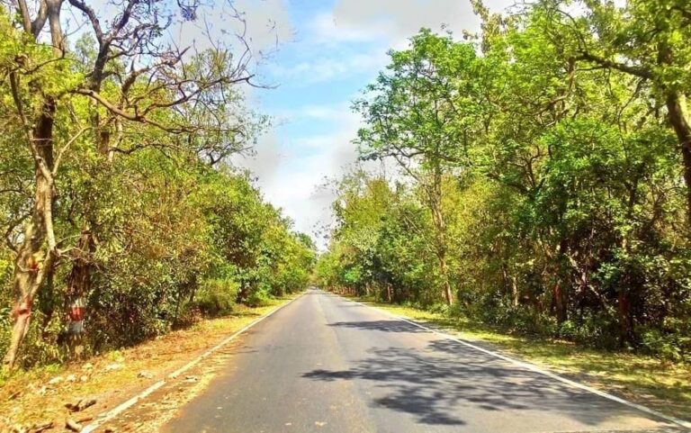 Haldwani to Kainchi Dham