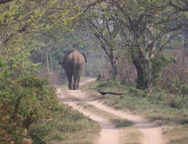 Jim Corbett from Delhi
