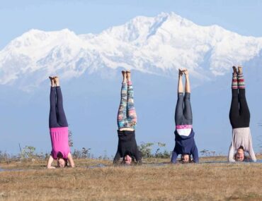 The most beautiful Yoga holidays in India: top 4 destinations for you