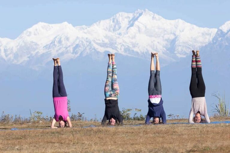 Yoga holidays in India