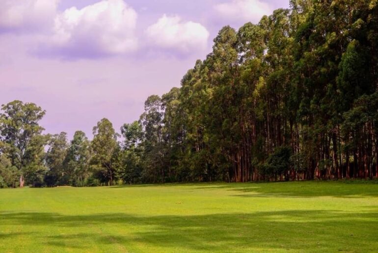 Ranikhet Golf Ground