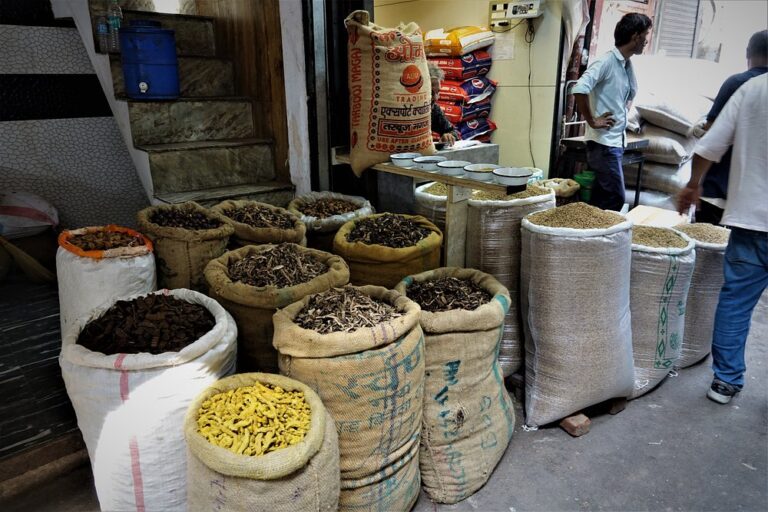 Old Delhi Spice Market