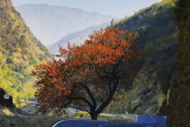 places to travel in Uttarakhand