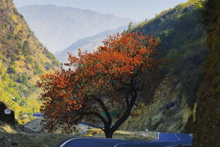 places to travel in Uttarakhand