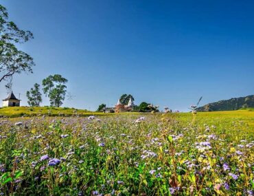 Dehradun Uttarakhand India