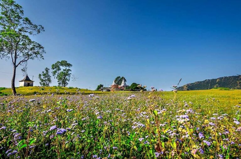 Dehradun Uttarakhand India