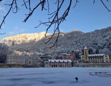 snow in nainital