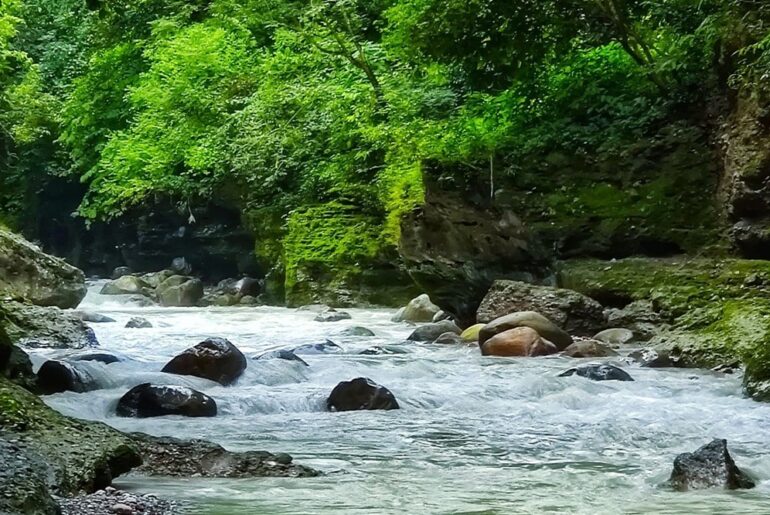 Asan River Wetland Dehradun