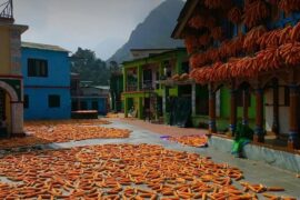 Sainji village uttarakhand