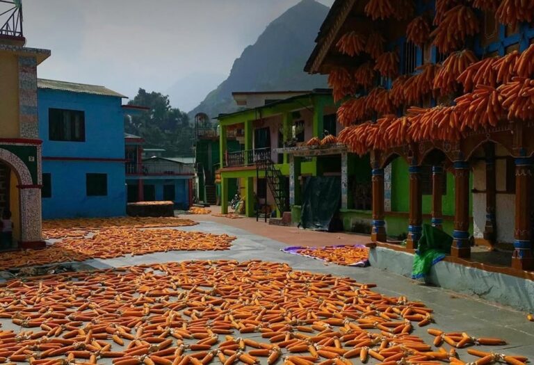 Sainji Village Uttarakhand