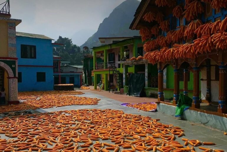 Sainji village uttarakhand