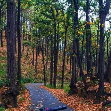 Explore a detailed 6 nights 7 days Uttarakhand Itinerary