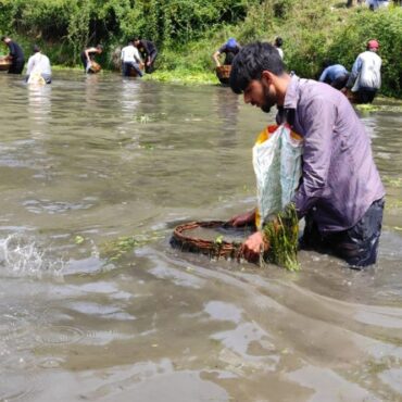 Jaunsar region in Uttarakhand to celebrate fishing festival