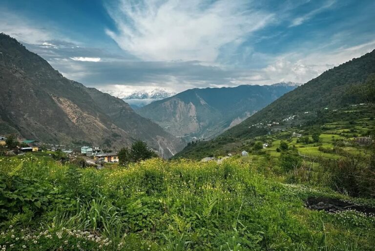 Urgam Valley Uttarakhand