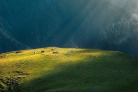 Panwali Kantha Bugyal trek
