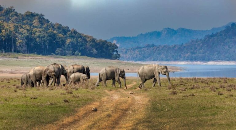 How to Reach Rishikesh