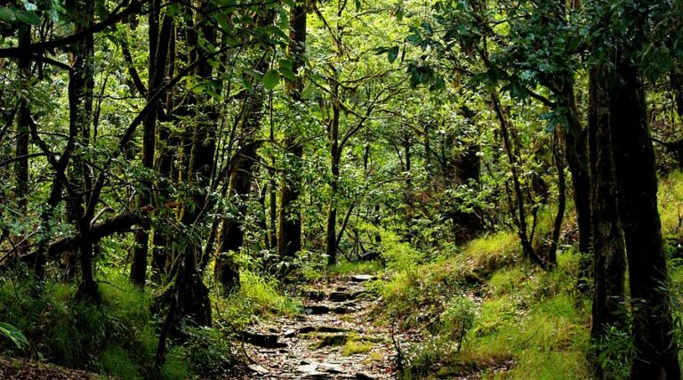 Binsar Valley Location