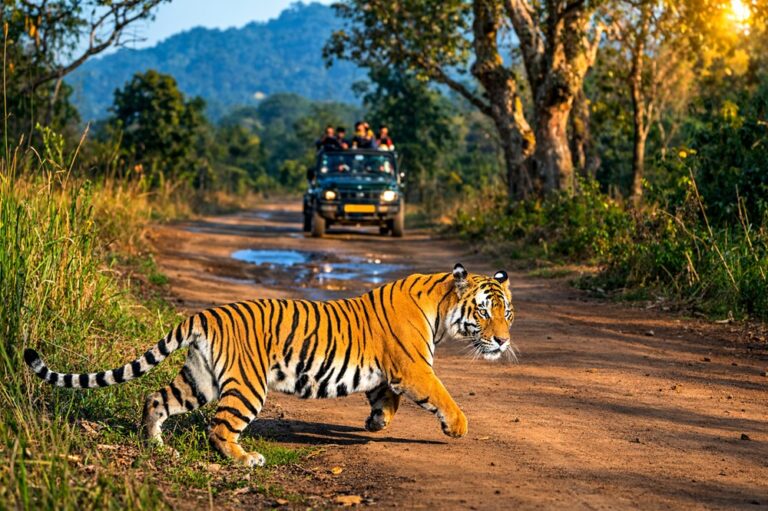 Rishikesh to Jim Corbett National Park