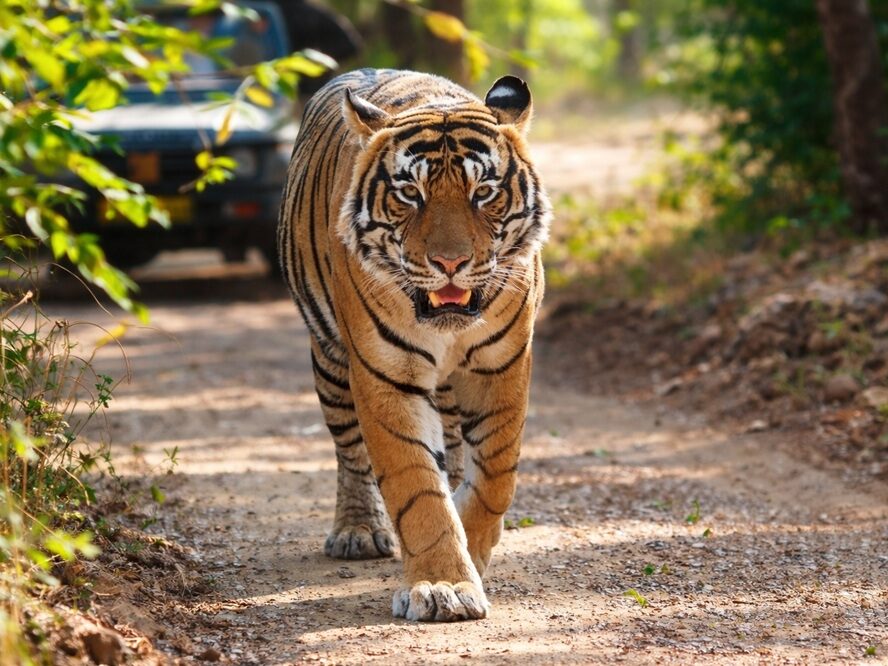 Tourist Places Near Corbett National Park
