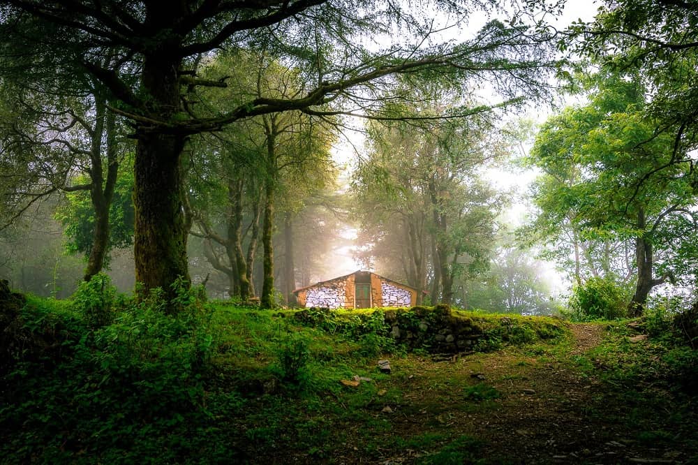 George Everest Park