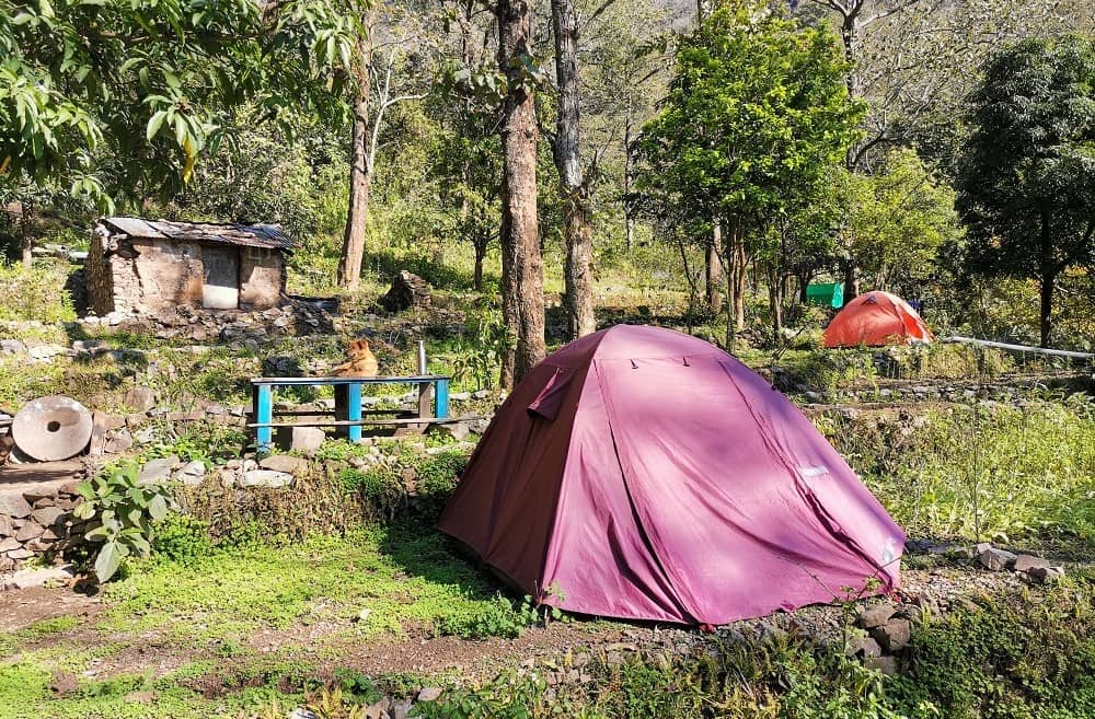 Jungle Camping in Rishikesh