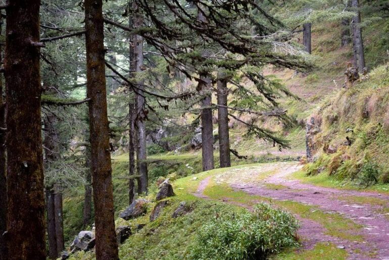RAJPUR TO MUSSOORIE TREK IN UTTARAKHAND
