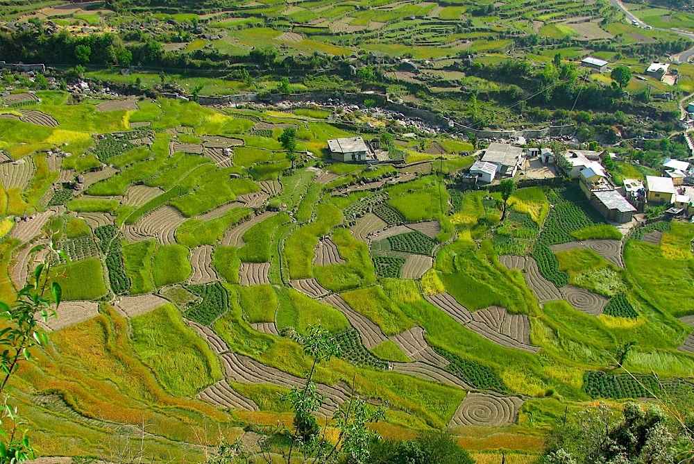 Ghuttu Village - Ghuttu - Panwali Kantha Trail Uttarakhand