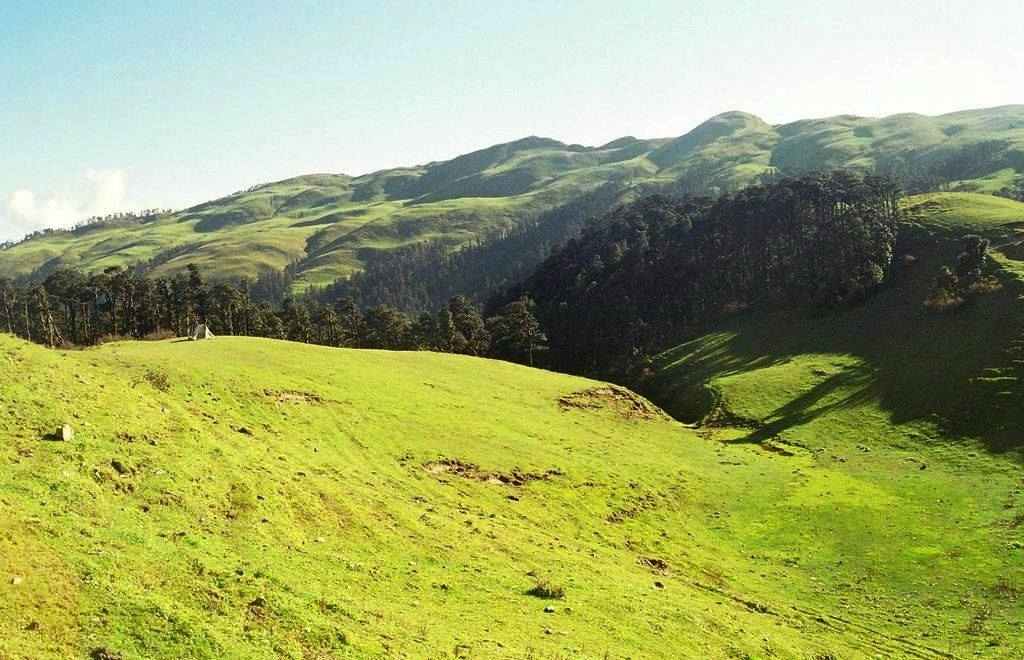 Panwali KanthaPanwali Kantha is one of the most expansive alpine meadows in Garhwal Himalayas
