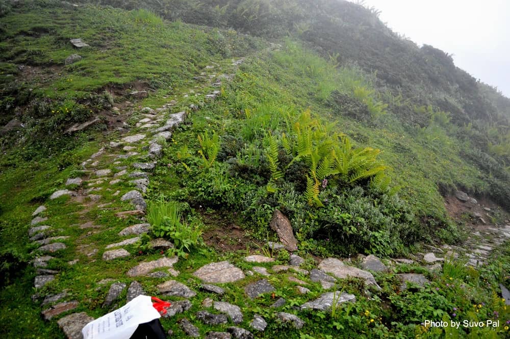 Zig-zag trail to Vasuki Tal