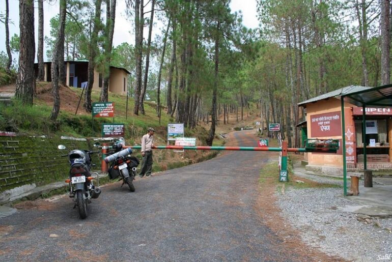 Binsar Valley Uttarakhand