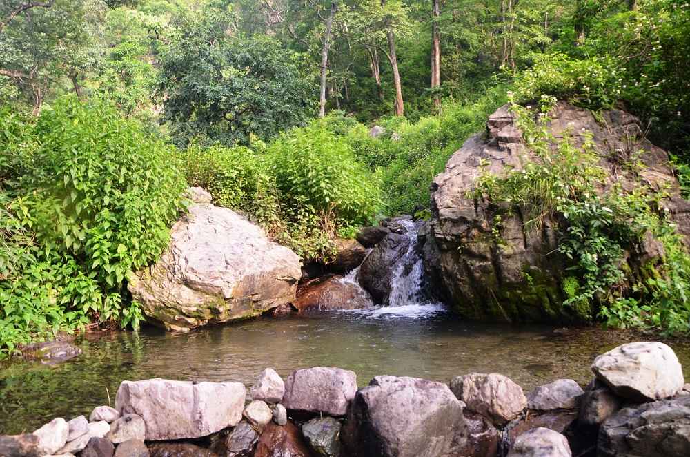 Natural Water Private Pool at Our Jungle Campsite