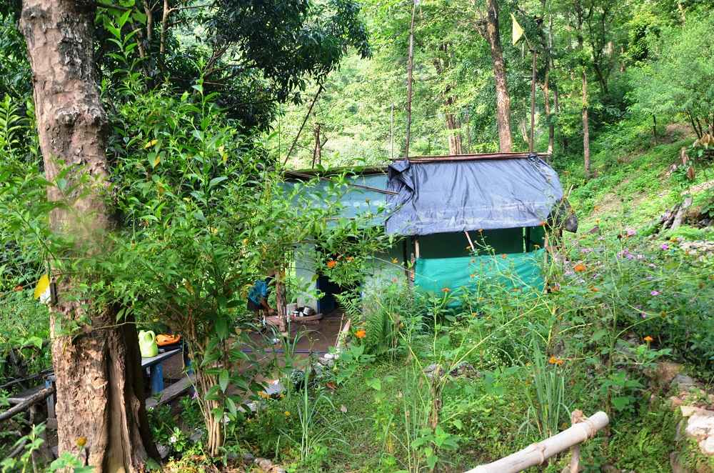 Our Kitchen at Jungle Campsite